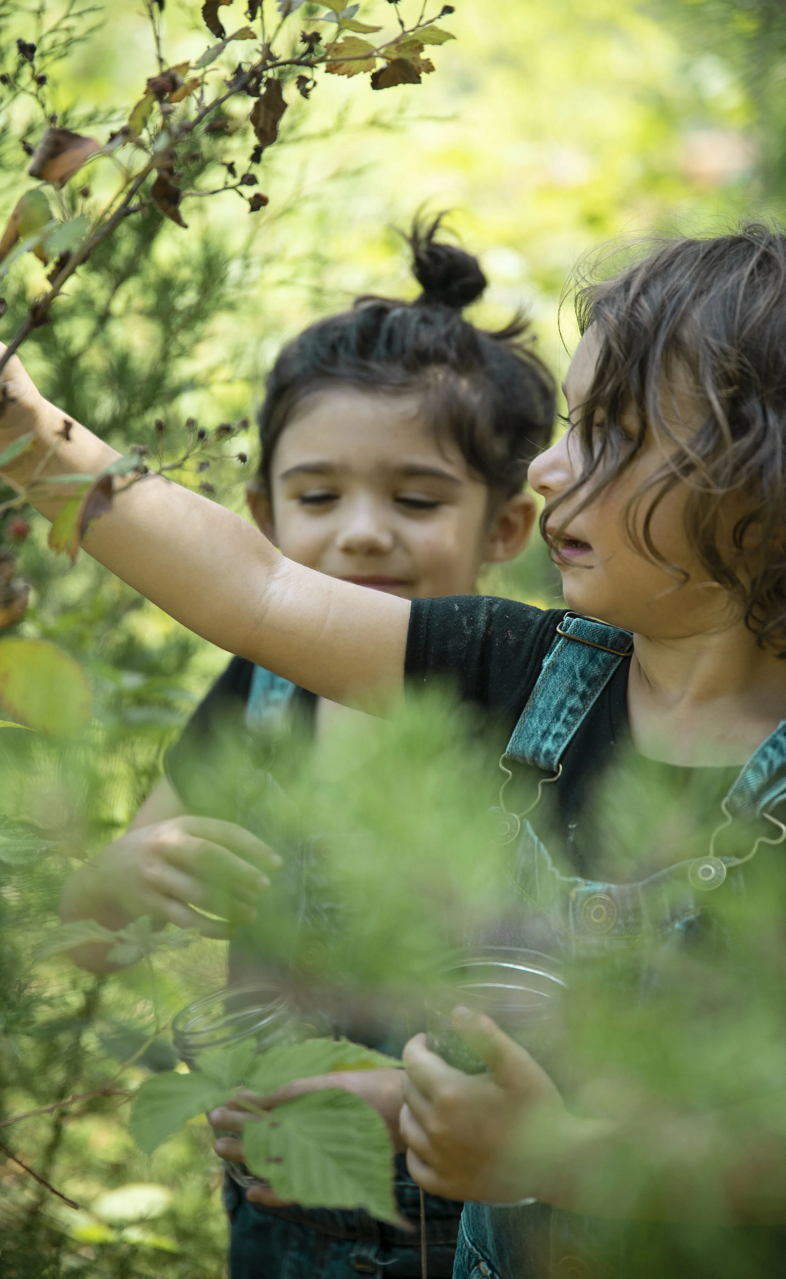 Berry Picking 3.JPG