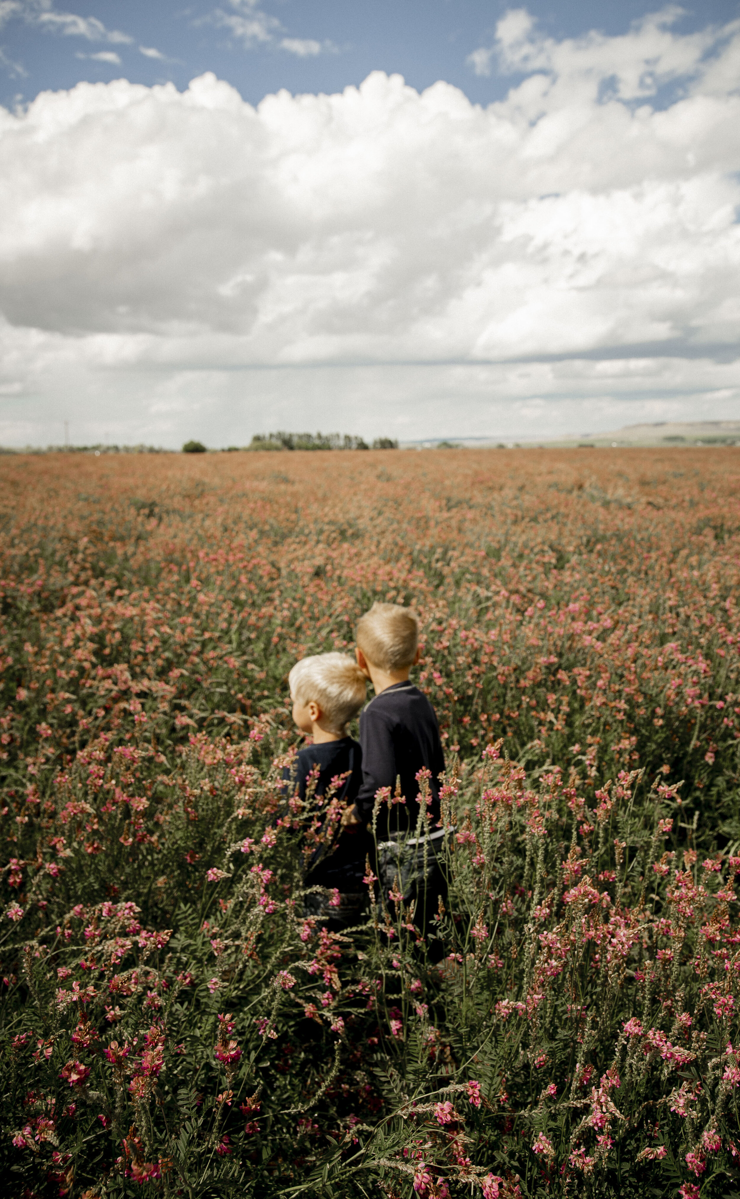 Farm Boys - Mark and Jimmy in field_1.JPG