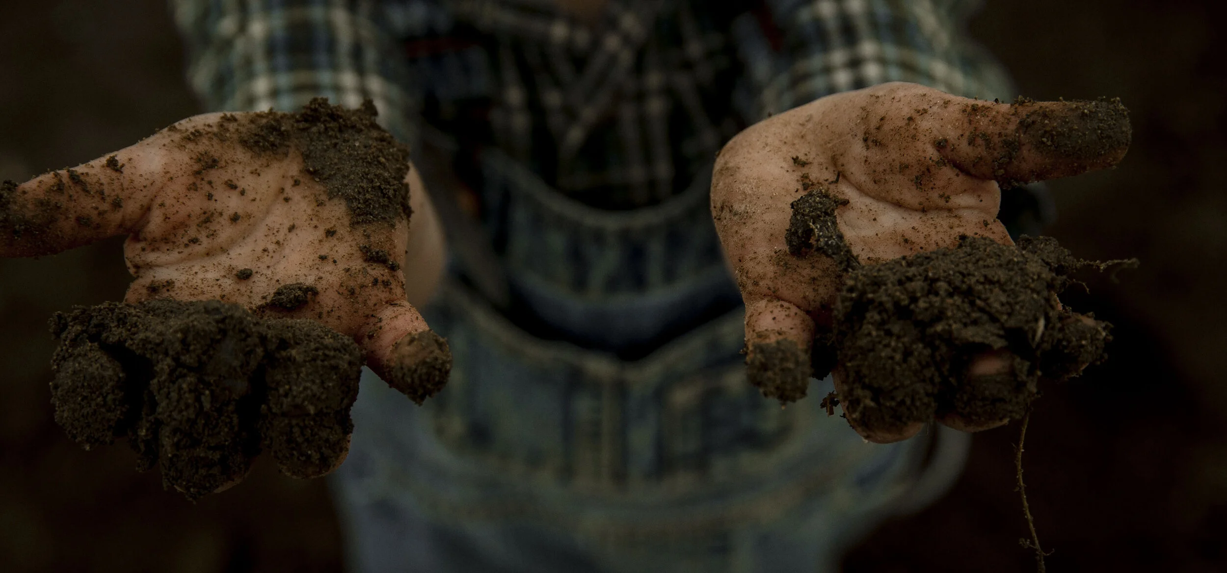 Farm Boys - Dirt Hands Final.JPG