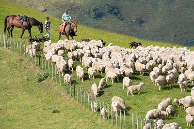 Mustering