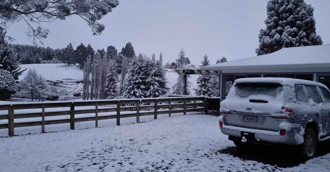 Black Hill - Hello Winter part II

#plimmerandcofarms #motukawa #blackhill #kellys #northview #nzfarming #farming #newzealand #snow #winter