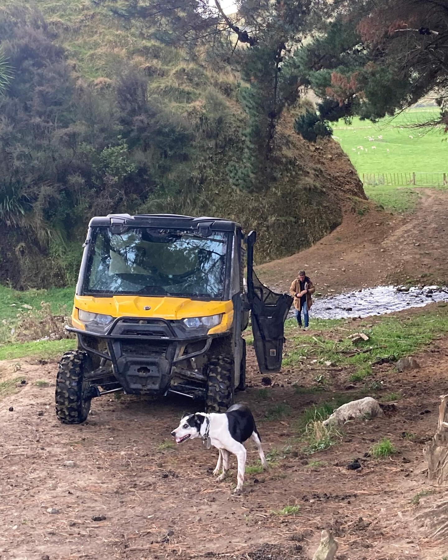 Kellys - an adventurous day looking around the farm. Better than any day in the office!! 

#plimmerandcofarms #motukawa #blackhill #kellys #northview #farming #farms #nzfarming #newzealand