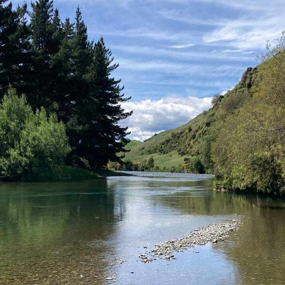 A few photos of the beautiful Rangitīkei River running through Black Hill and Kellys

#plimmerandcofarms #motukawa #blackhill #kellys #northview #farming #nzfarming #newzealand #summer #nature