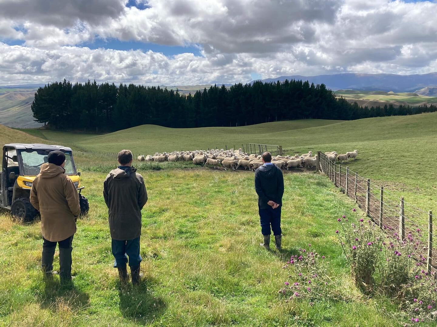 Kellys and Black Hill - a good opportunity to get the Managers together to have a look around the farm

#plimmerandcofarms #motukawa #blackhill #kellys #northview #farming #nzfarming #newzealand