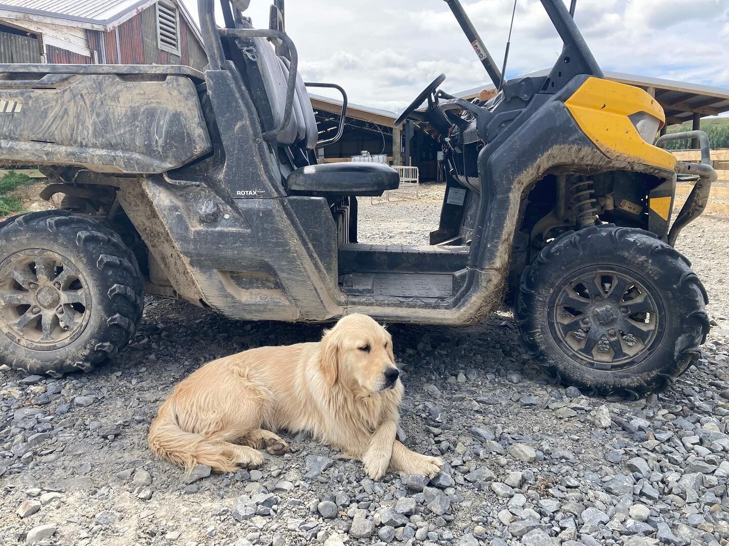 Northview - Managers looking around the farm and inspecting the new yards.

#plimmerandcofarms #motukawa #blackhill #kellys #northview #farming #nzfarming #newzealand