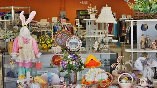 Rizzo-Young-Marketing-LLC-Frisbie-Senior-Center-Once-Again-Resale-Shop-2.jpg