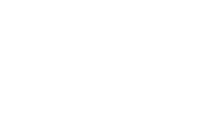 GM Goldman Medicare Supplement Specialists