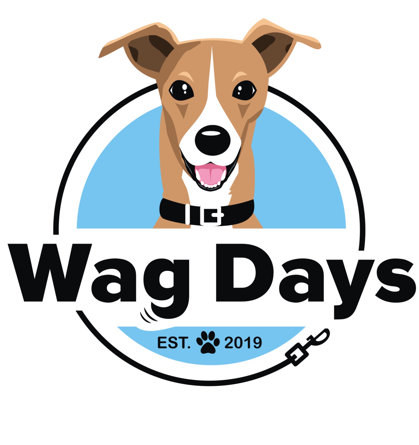 Days　Wag　—　Daycare　PA　Philadelphia,　Doggy　Philly