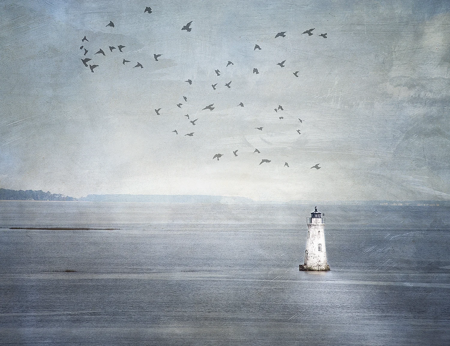 Lighthouse and Birds