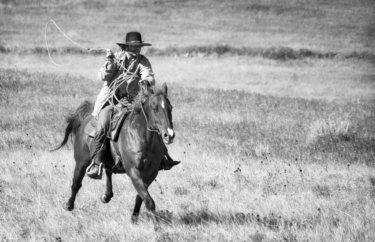 Wrangler Roping