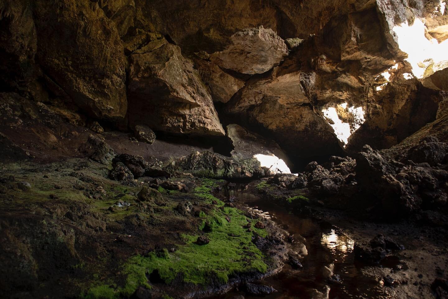 Mammoth cave beautiful as ever #travelphotography #travel #photography #travelgram #nature #photooftheday #naturephotography #travelblogger #instagood #love #picoftheday #wanderlust #instagram #ig #landscape #traveltheworld #instatravel #photo #trave