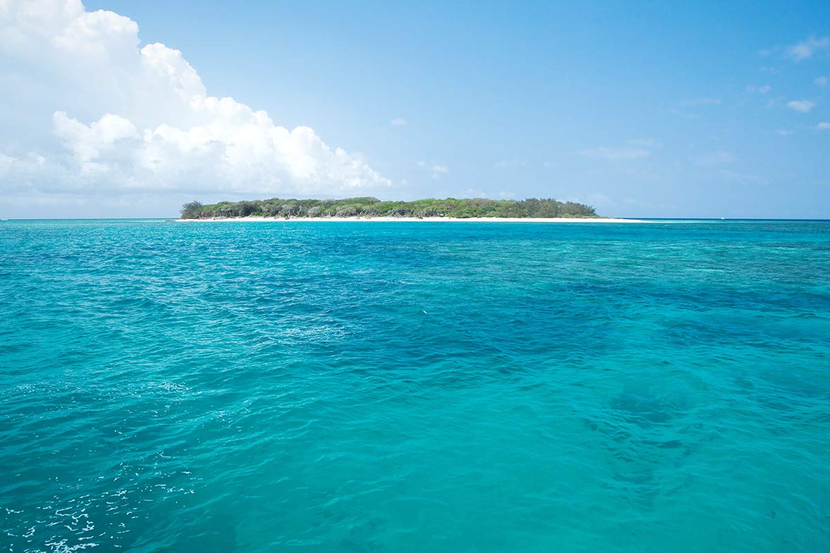 agnes-water-attraction-lady-musgrave-island.jpg