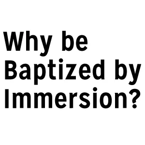 WhyImmersion.jpg