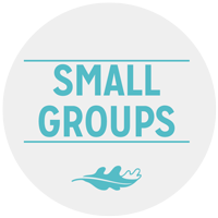 GC-SamllGroups.png