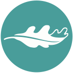 Leaf-Icon-SMALL.png