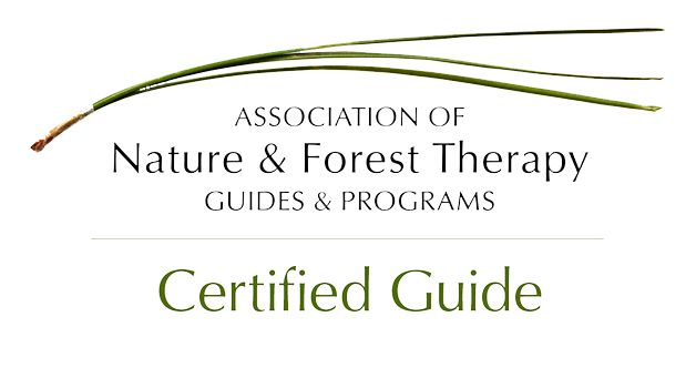 ANFTCertifiedGuide.png