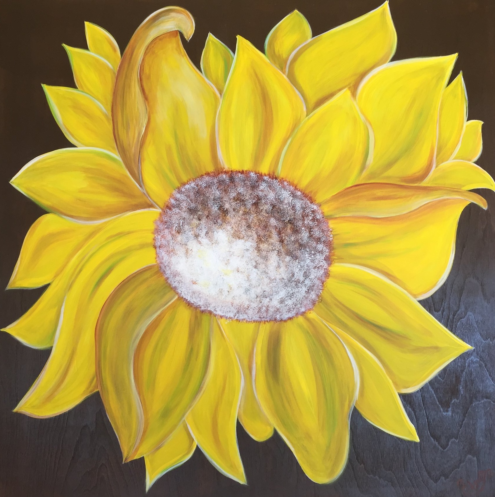 Sunshine_66.jpg