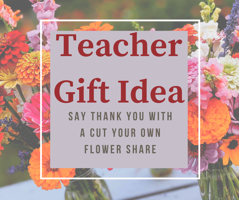 Stop War Facebook Post.png