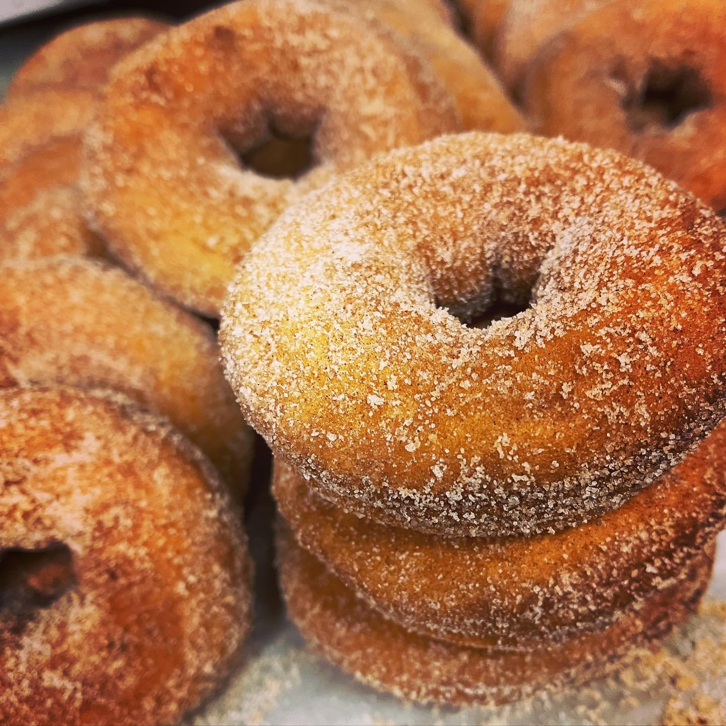 donuts.jpg