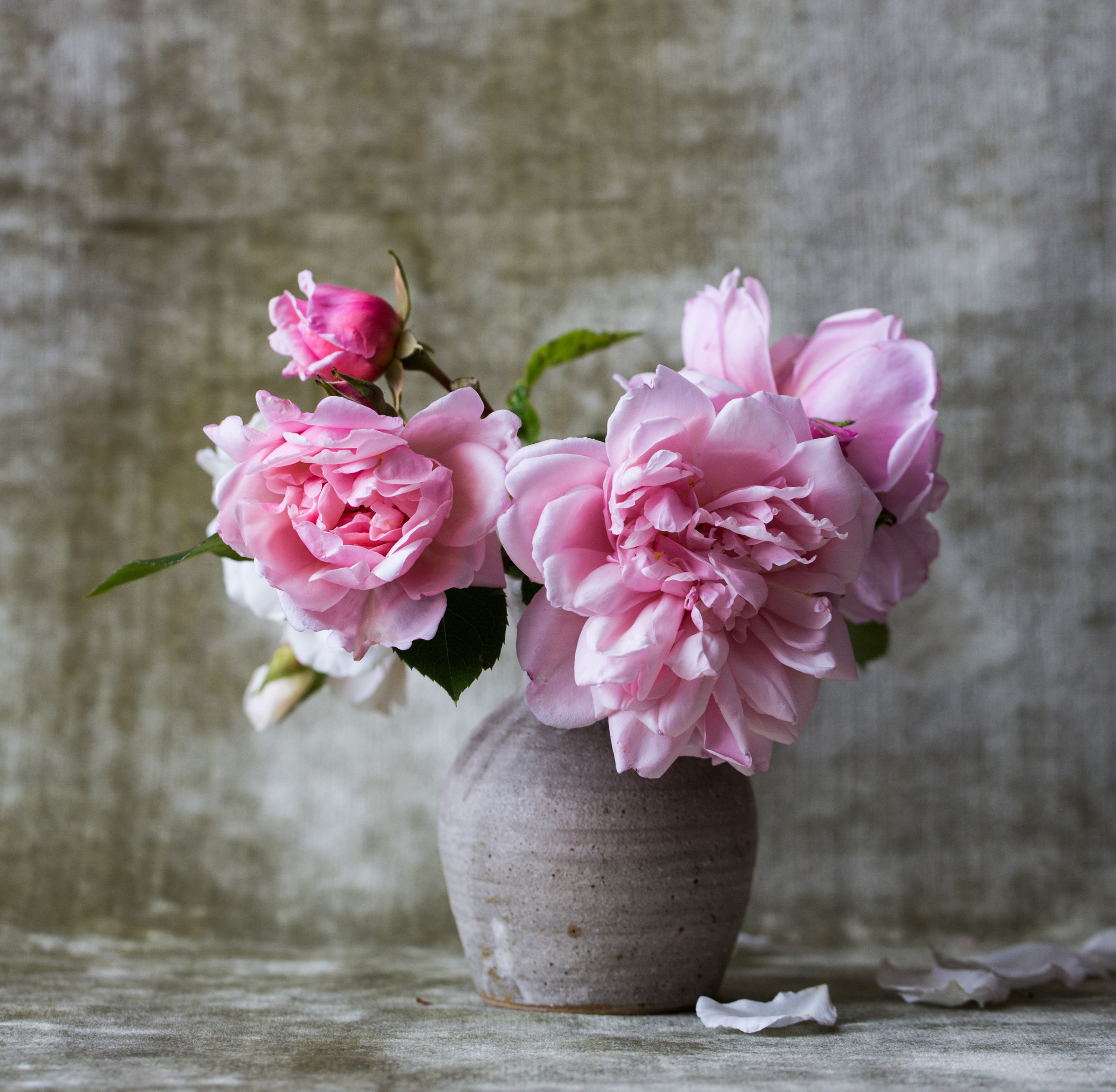 Mothers Day at Raleigh