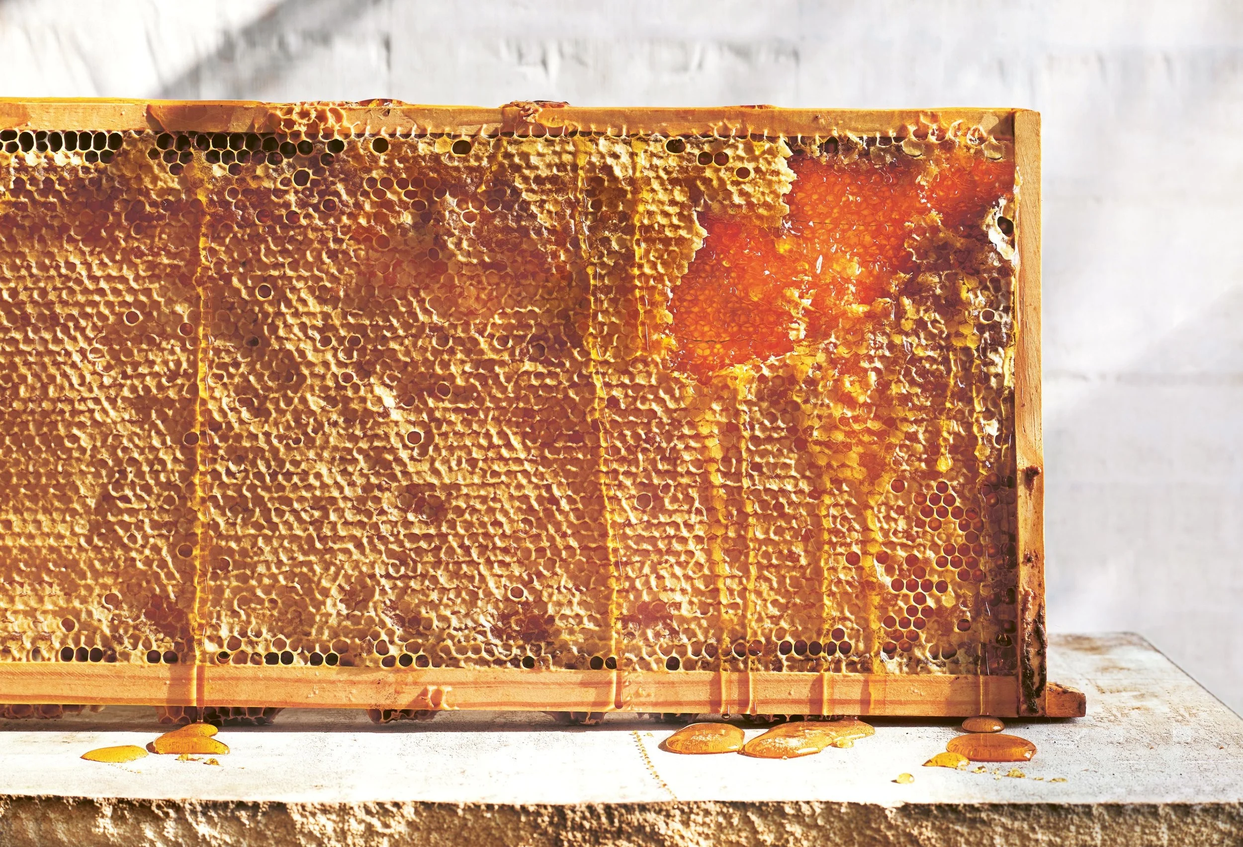 Opoeners and Recipe Pages_9819.jpg