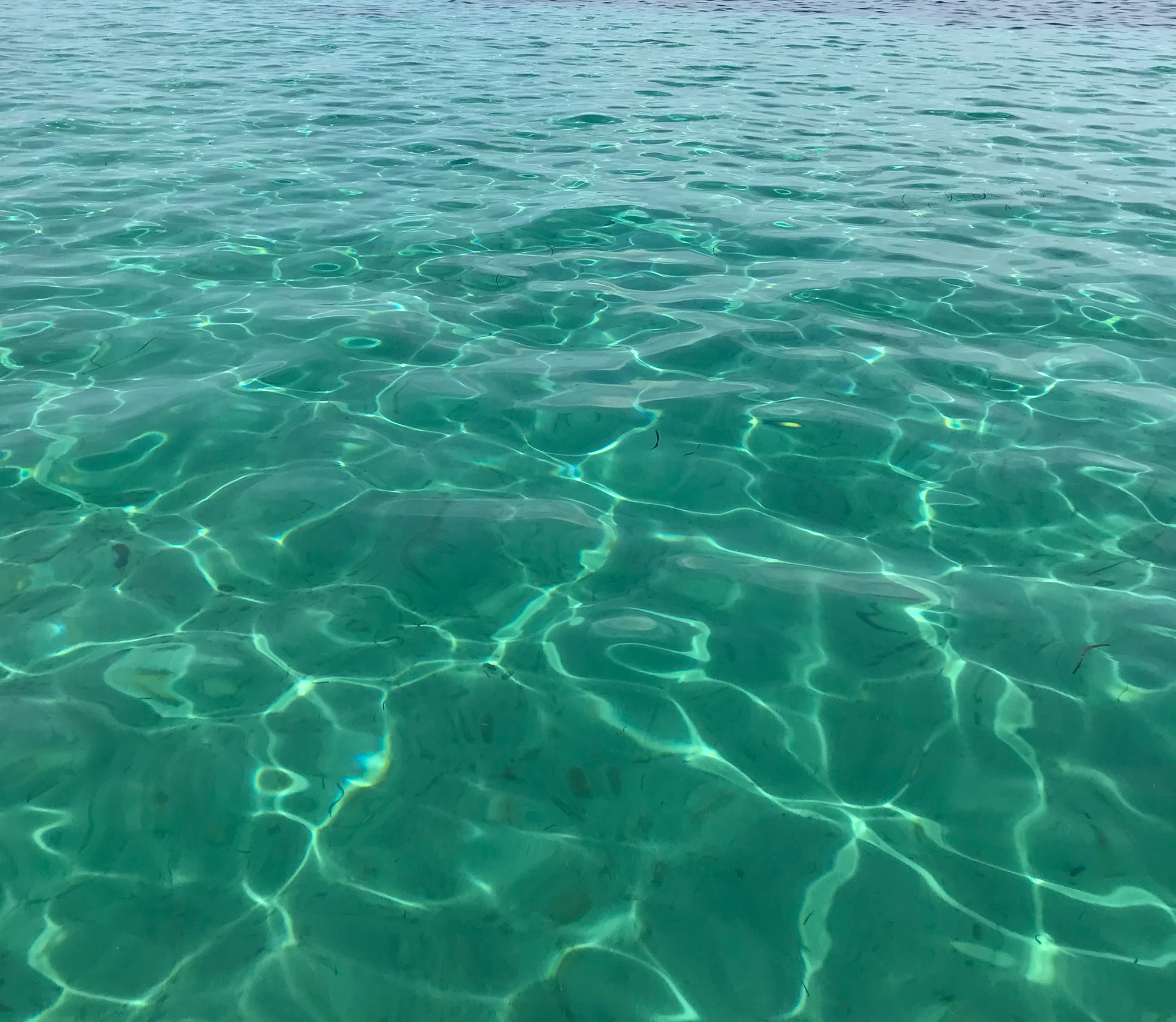 water-backdrop.jpg