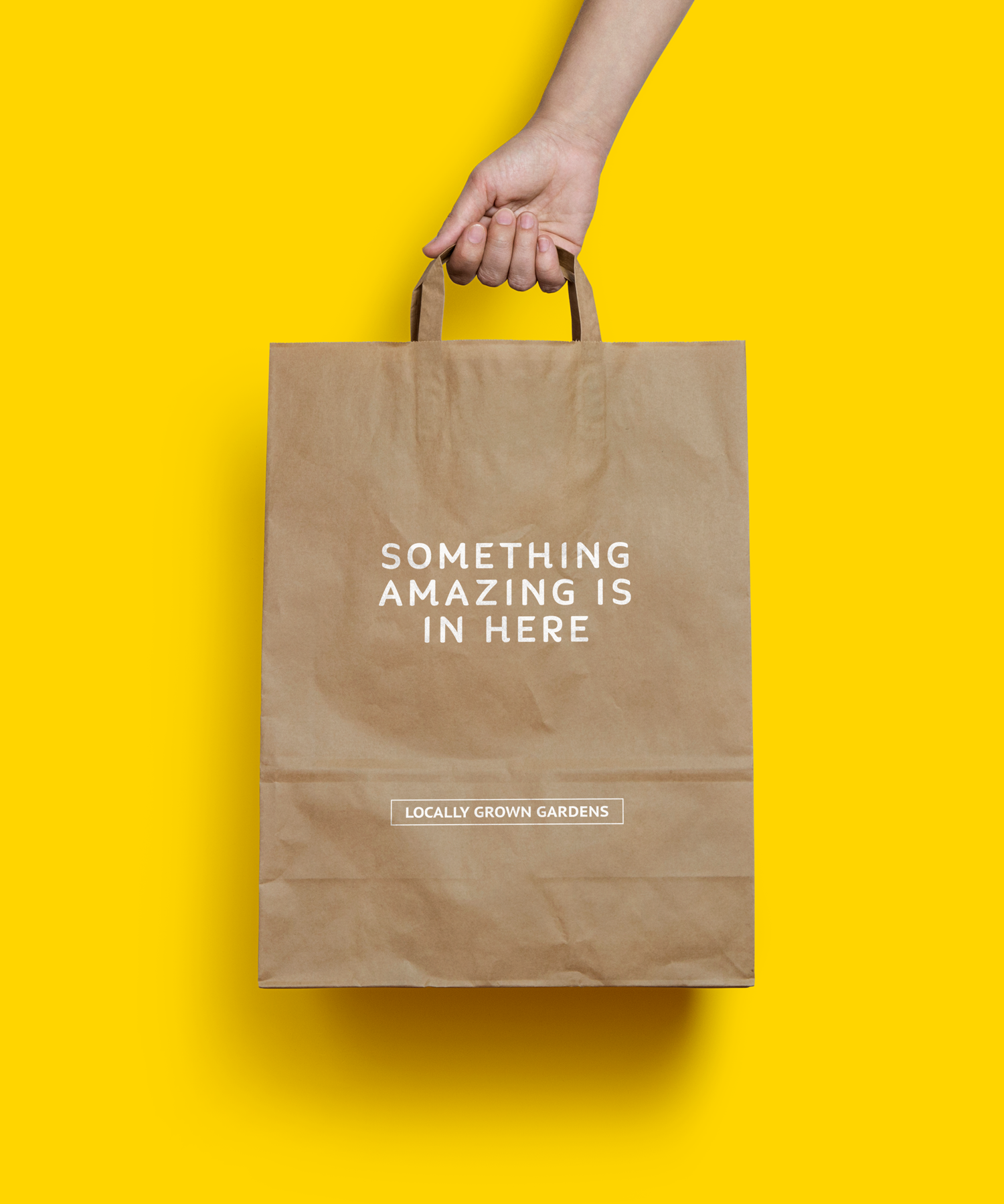 zachary_anton_reeves_brainding_design_bag.png