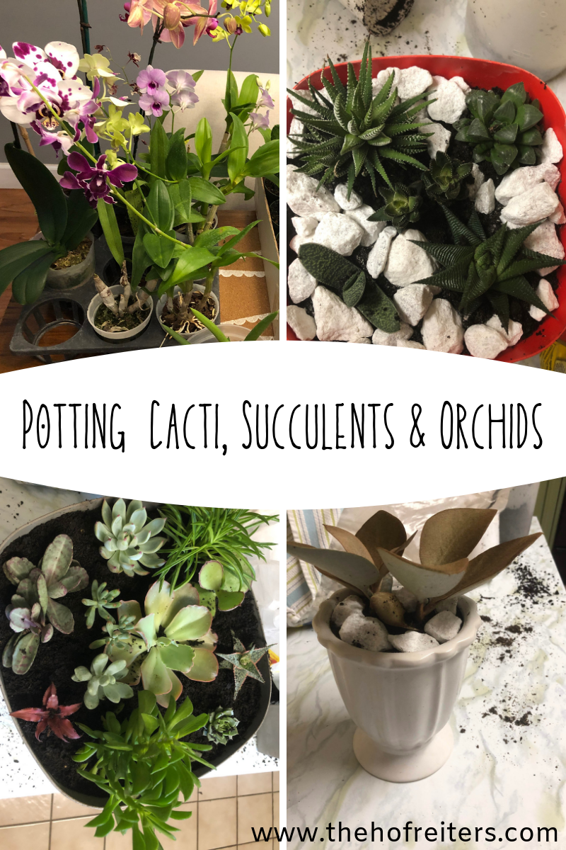 succulent plant holders Rectangle Succulent Plant Pots with Tray
