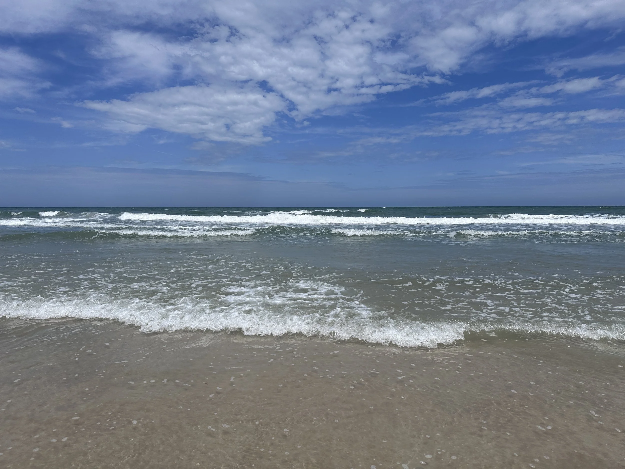 IMG_9408.jpeg