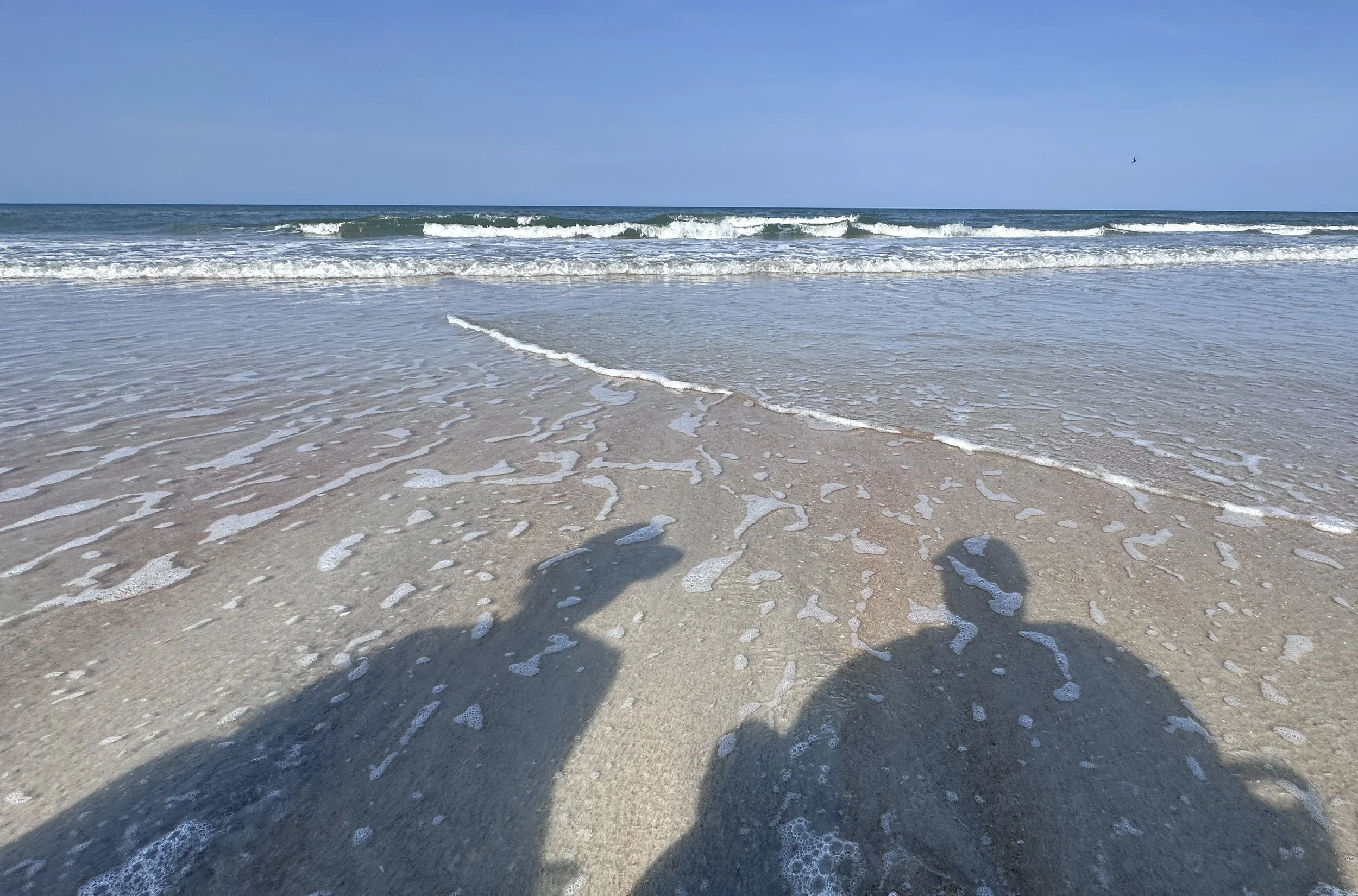 IMG_9454.jpeg