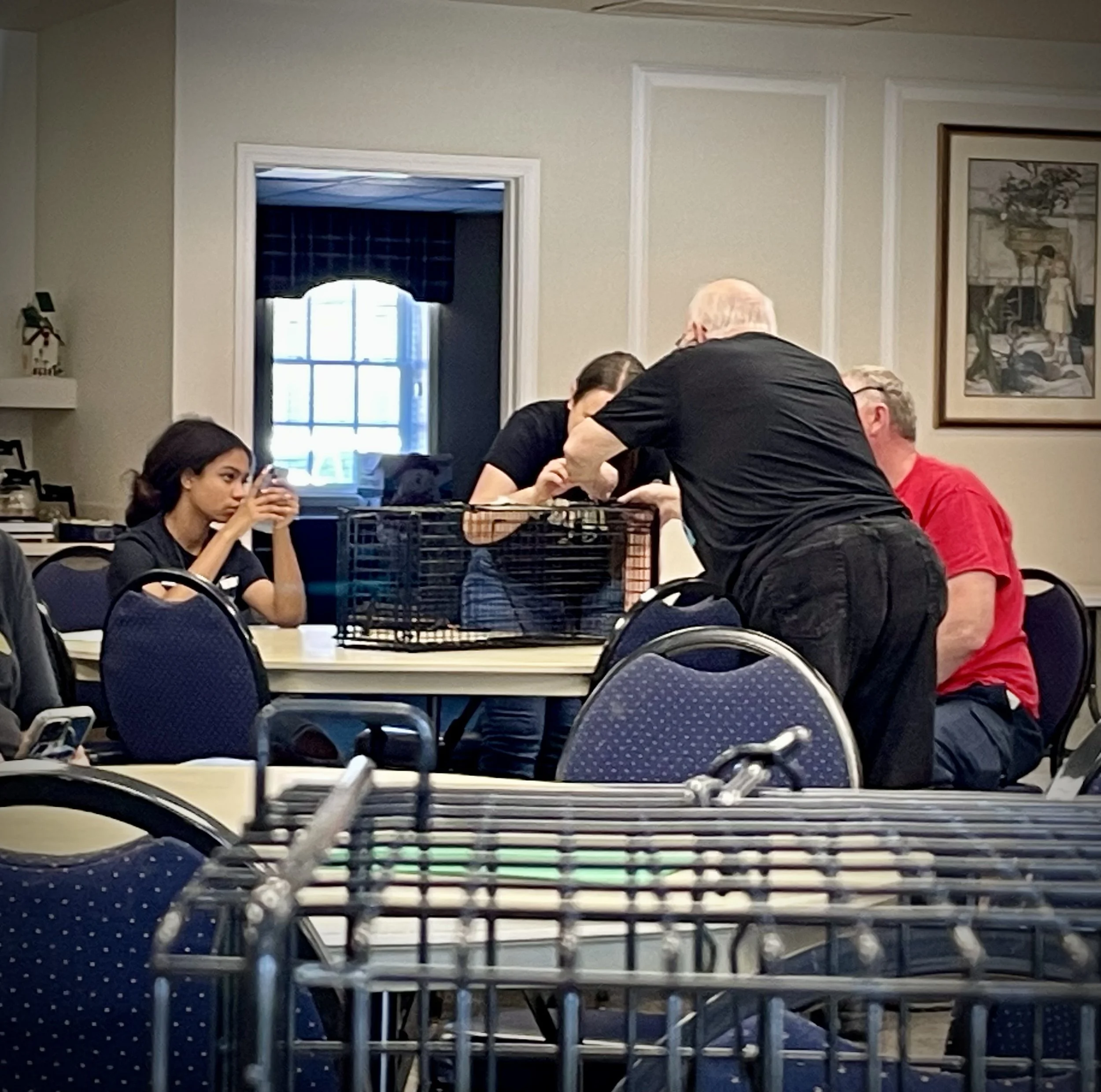 TNR Workshop