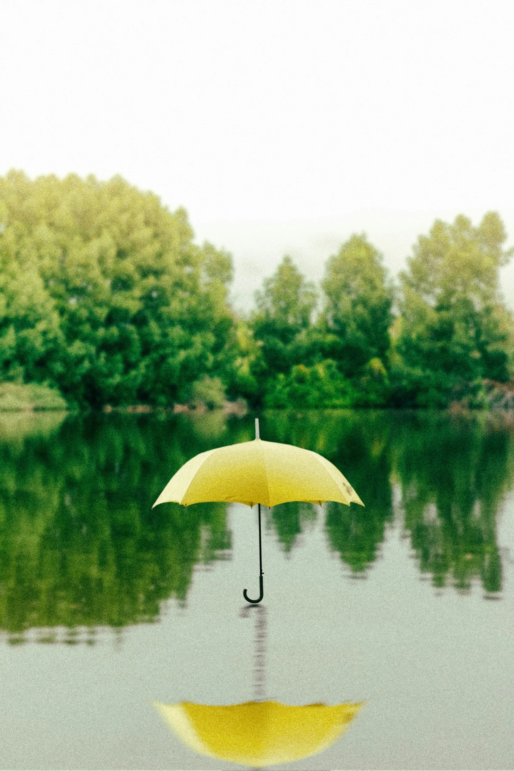 Understanding Umbrella Insurance: What It Is and Why You Might Need It