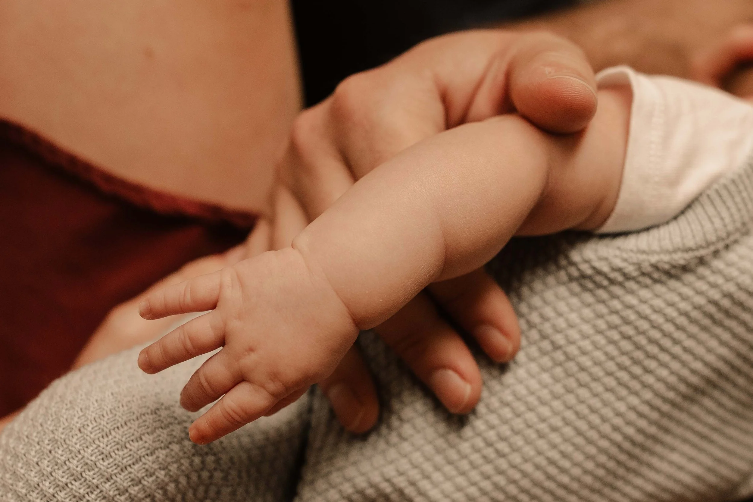 Haupt newborn-633.jpg