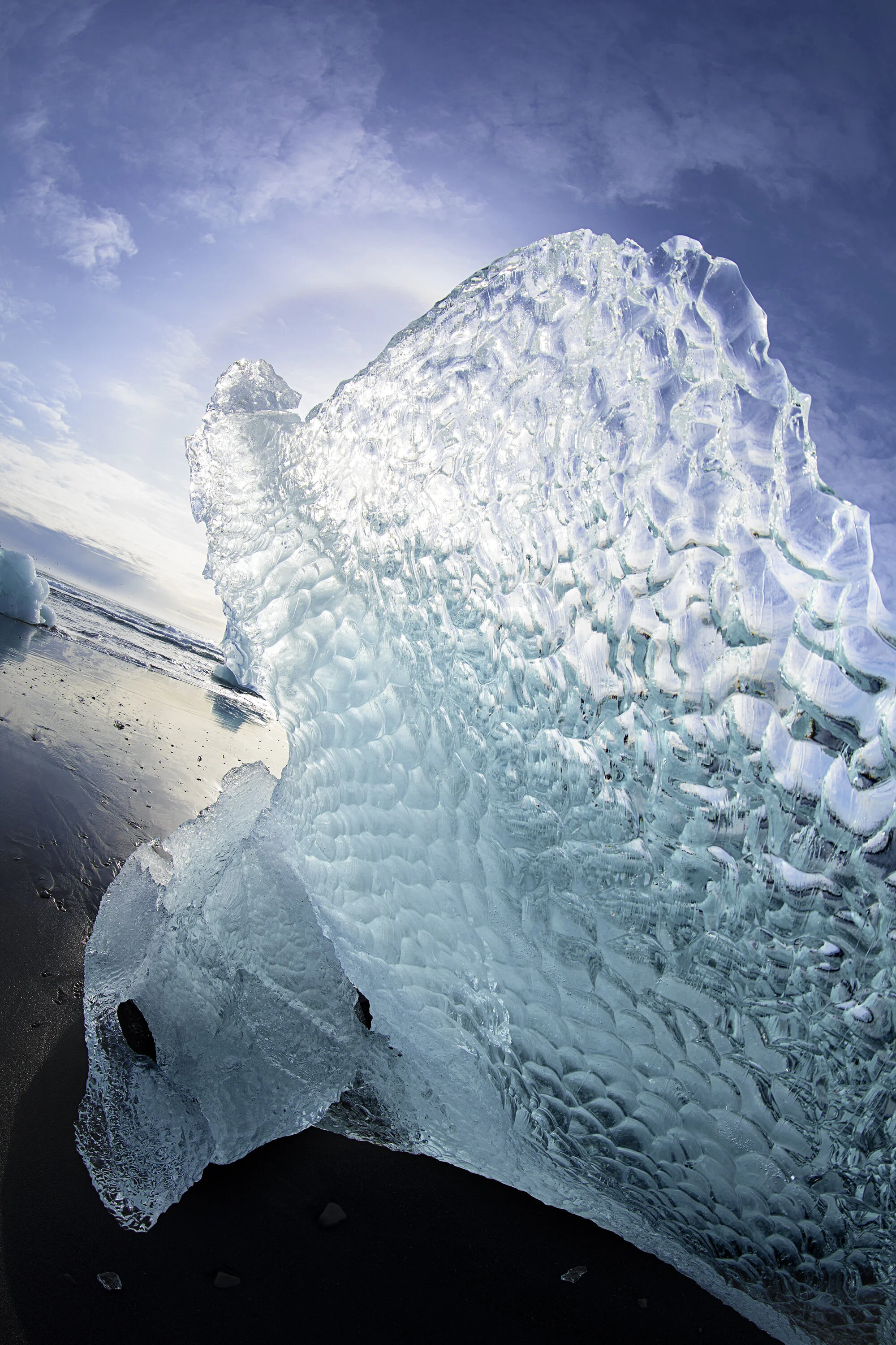 The Eagle Has Landed:Iceberg Photo:@AlexiAndreaBordenArtist:#SailingThruIcebergs.JPG