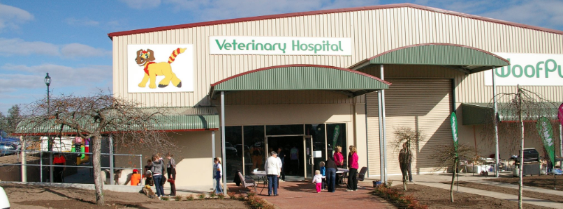 the woof vet