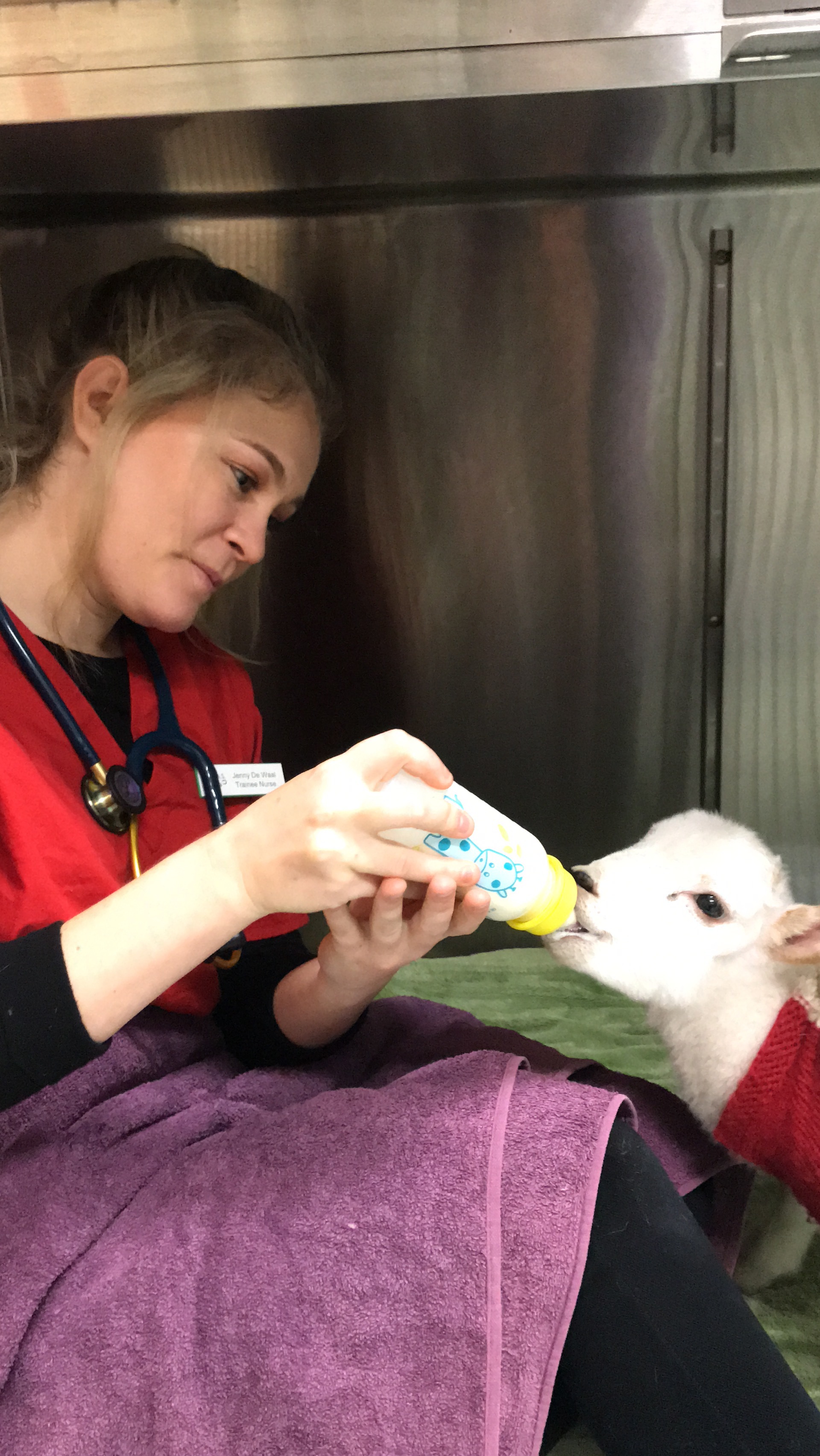ACAAS — Woofpurnay Veterinary Hospital | Professional compassionate care |  Emergency Vet