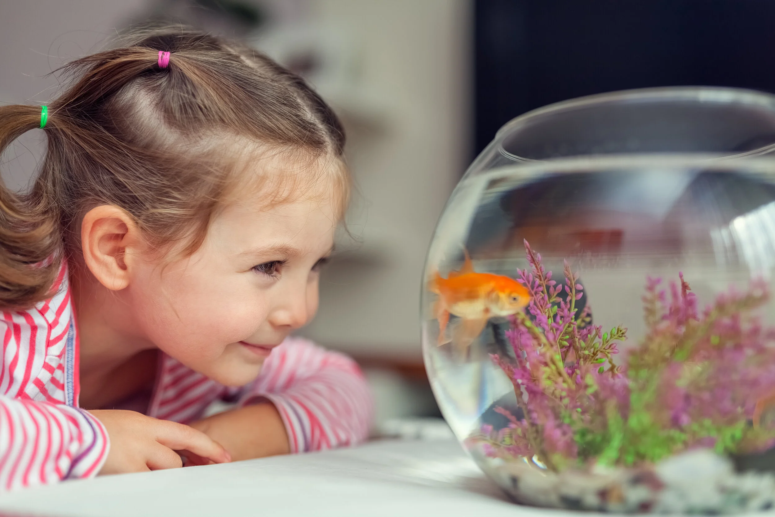 Choosing your child's first pet — Woofpurnay Veterinary Hospital ...