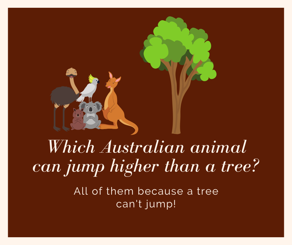 Hilarious Aussie animal jokes — Woofpurnay Veterinary Hospital |  Professional compassionate care | Emergency Vet