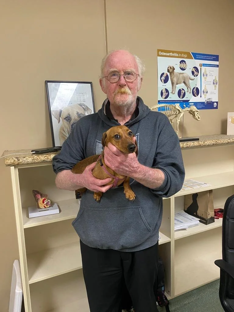 Meet our vet - Dr Rod Salter — Woofpurnay Veterinary Hospital