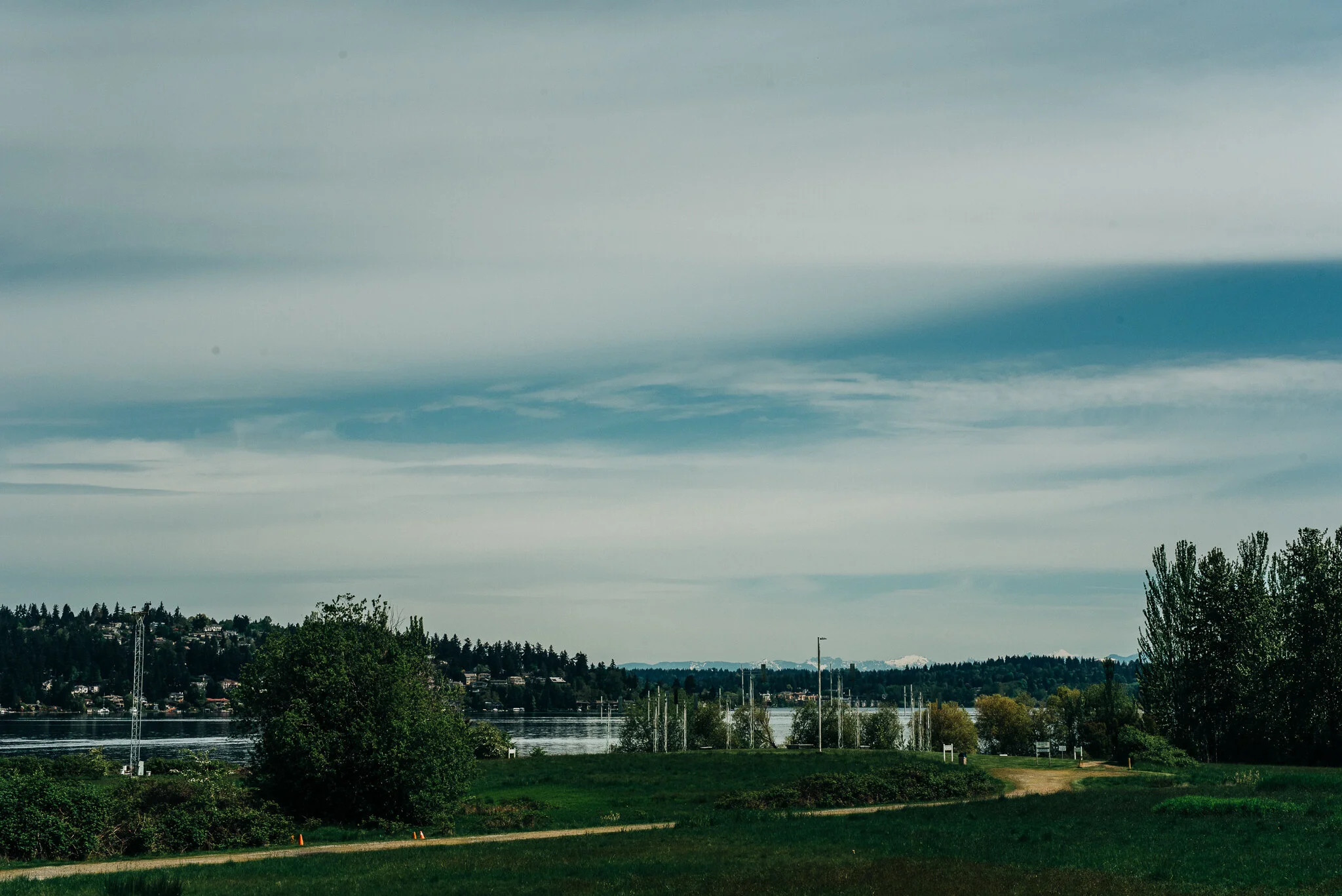 DSC_5603.jpg