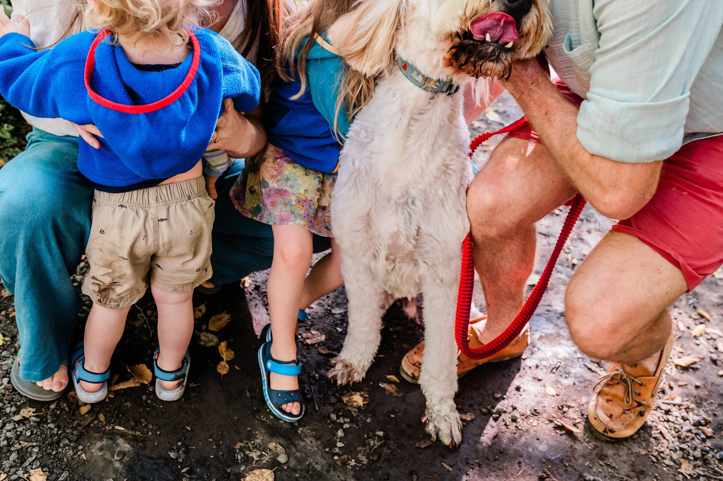 Children and adults gathering around a large fluffy dog, possibly a Golden Retriever, outdoors on a dirt path with fallen leaves. The dog is being petted or examined by an adult.