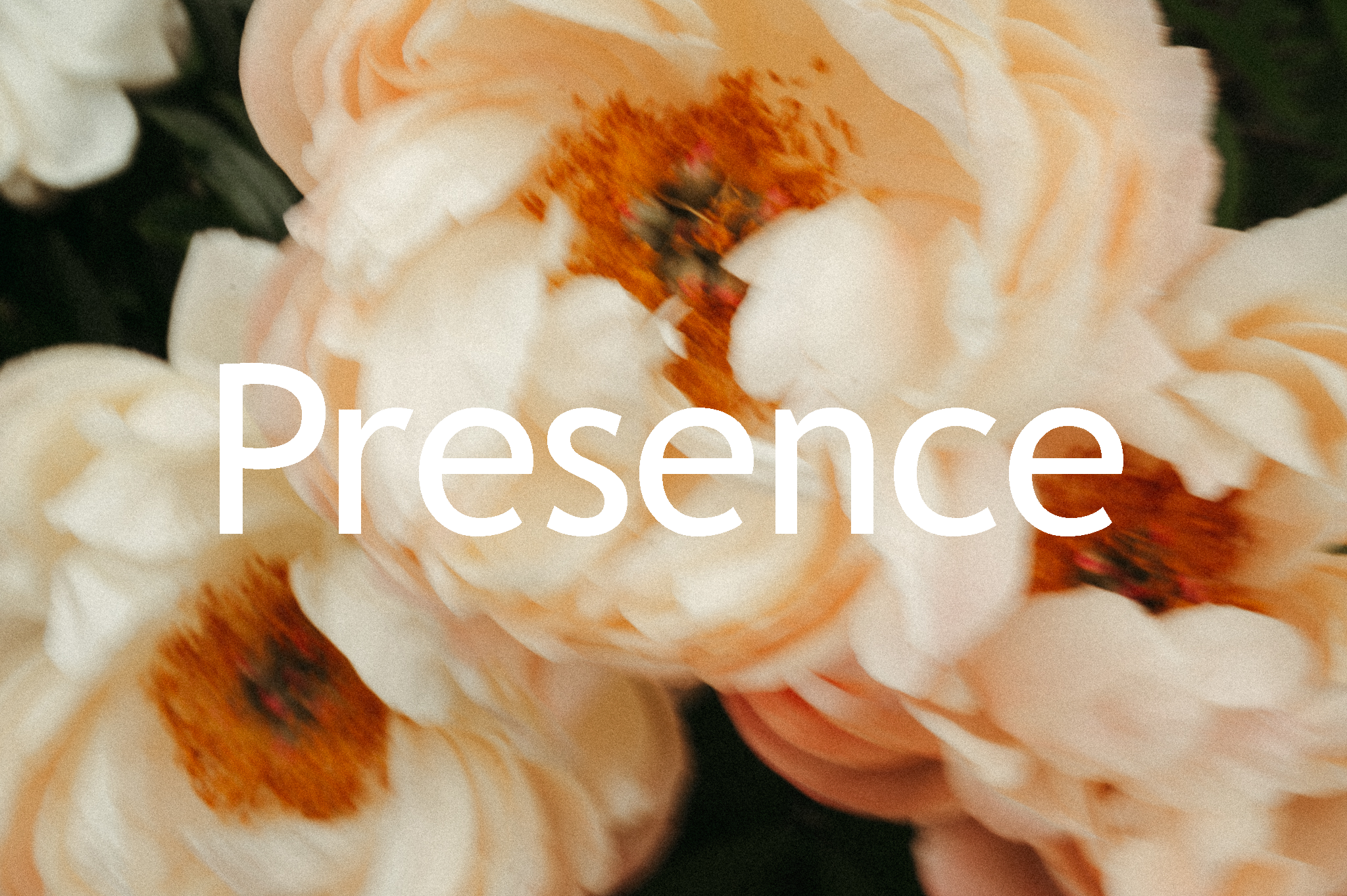 Close-up of cream-colored roses with pink and orange centers, with the word 'Presence' overlaid in white text.