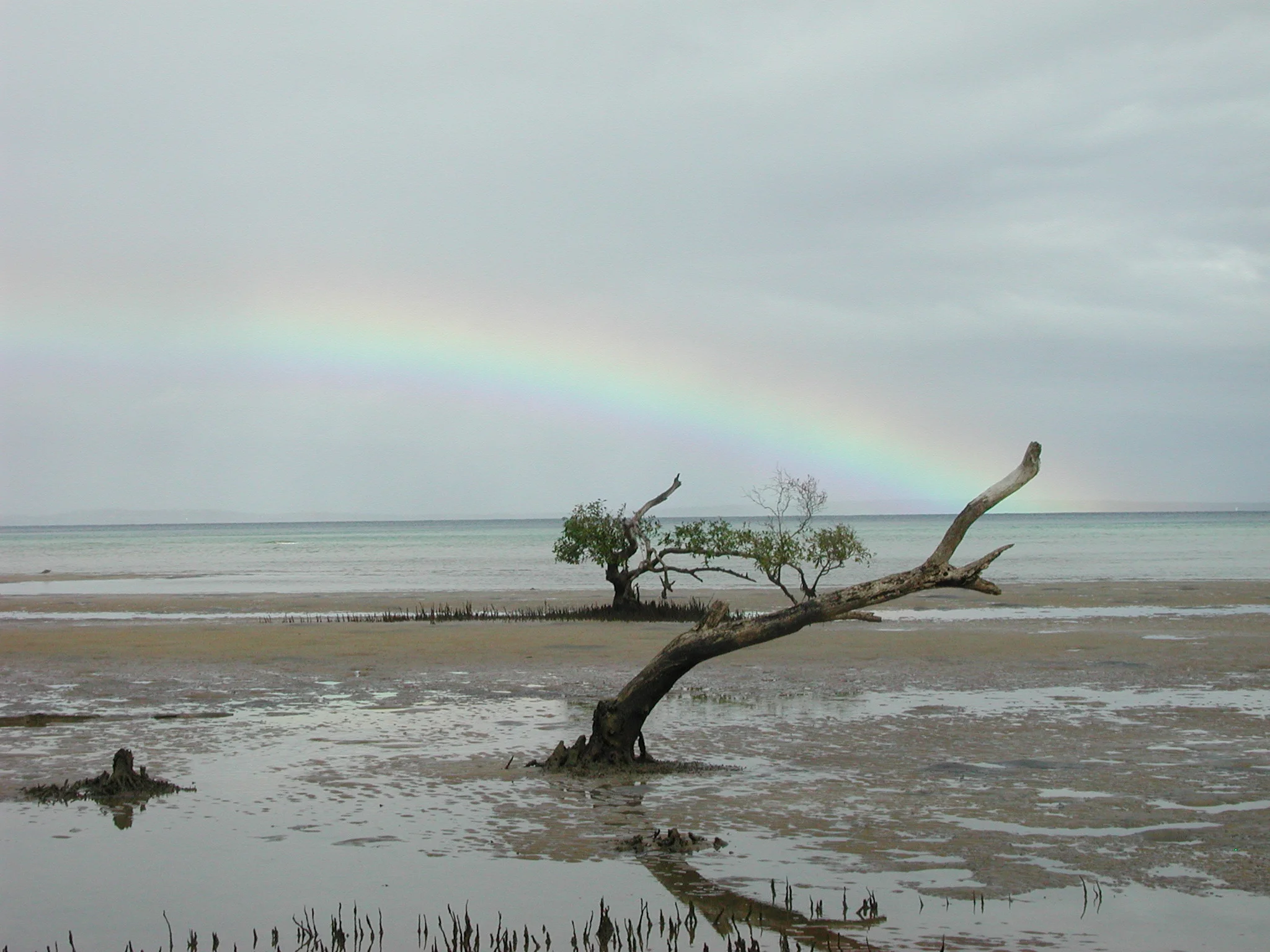 DSCN0543.JPG