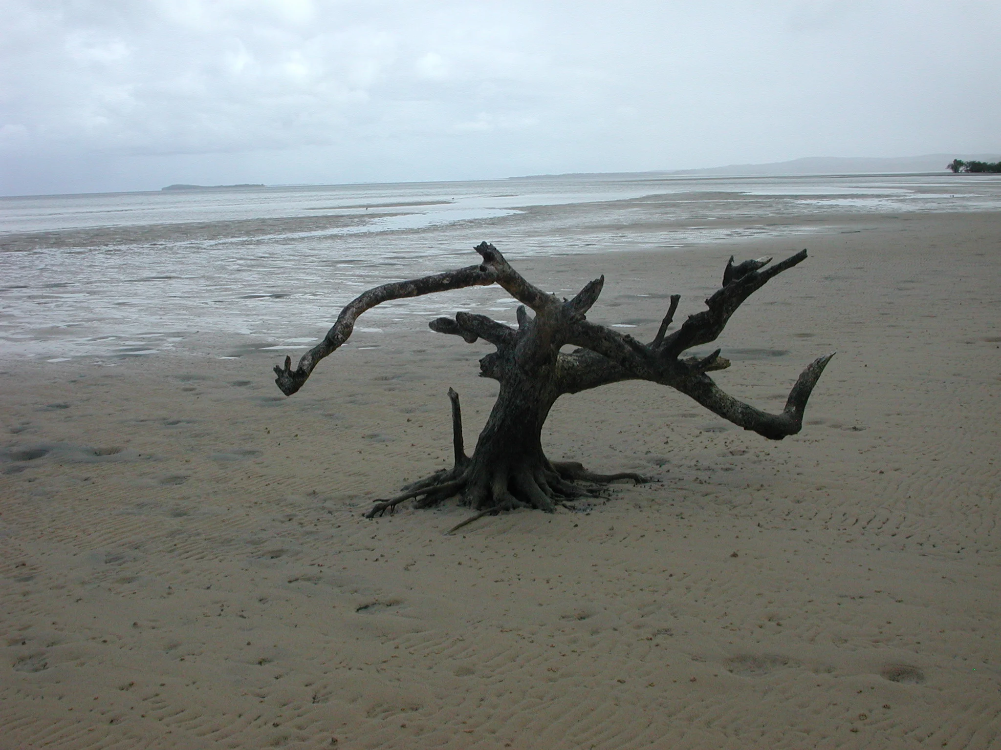 DSCN0549.JPG