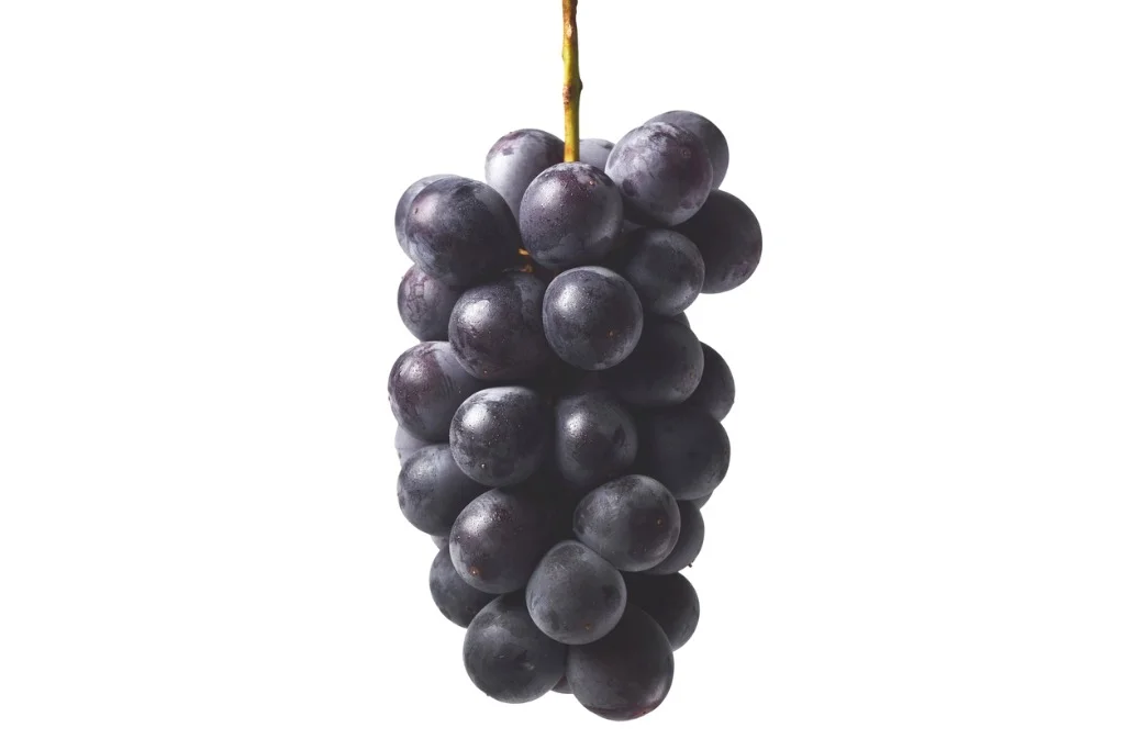 bunch-of-grapes-picture-id484958832.jpg