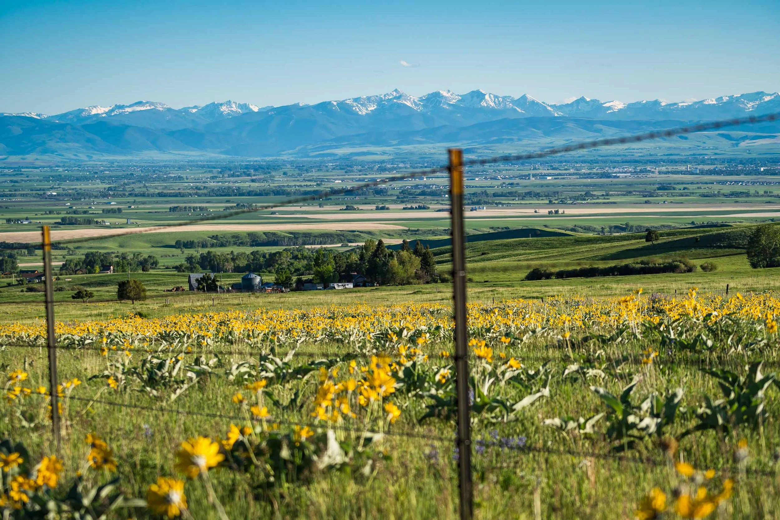 Mikeal-Beland-Studio-Montana-31.jpg