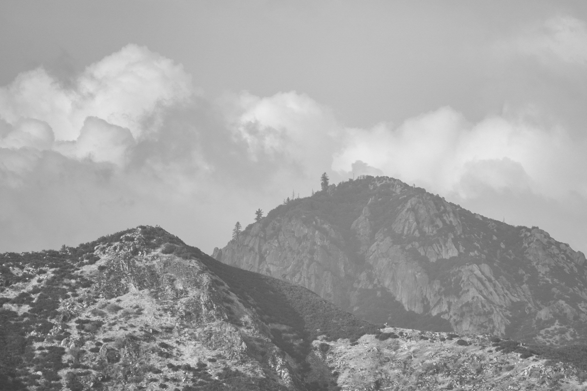 Beland-Sequoia-14.jpg