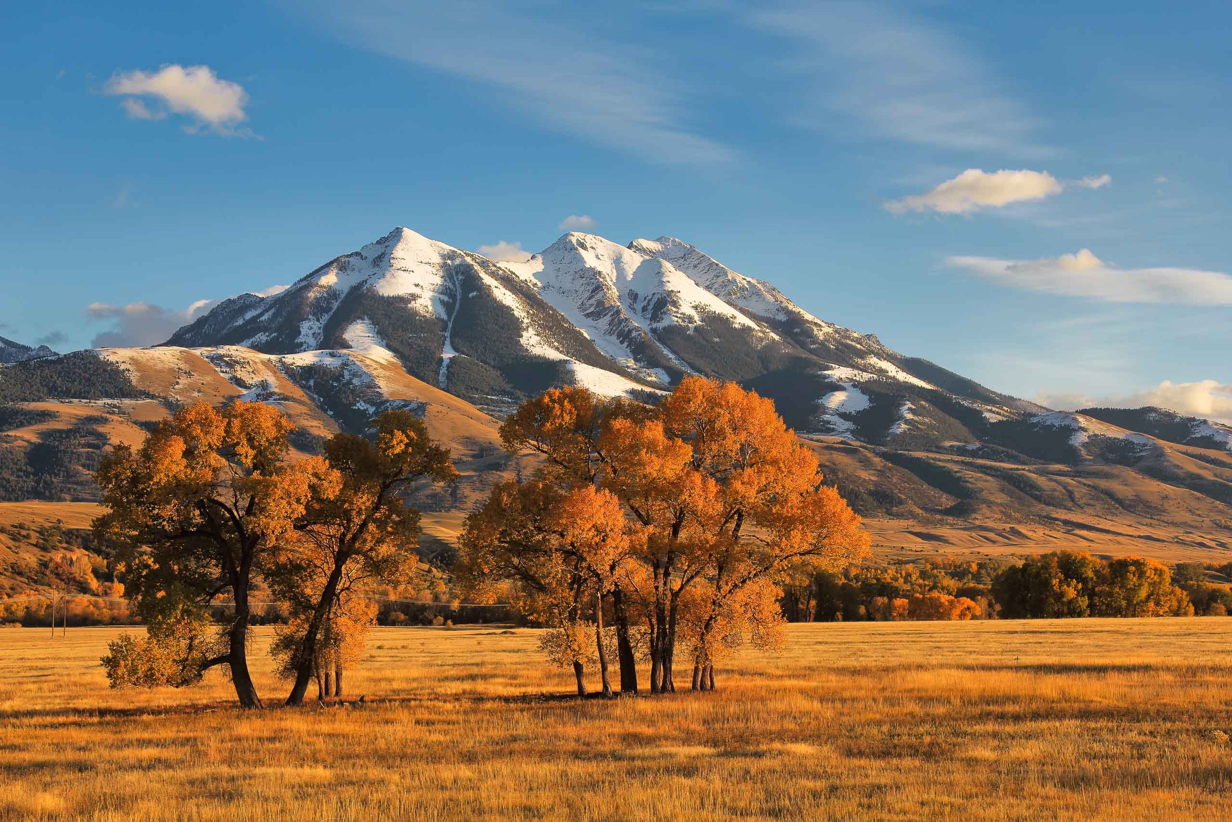 Mikeal-Beland-Studio-Montana-1 2.jpg