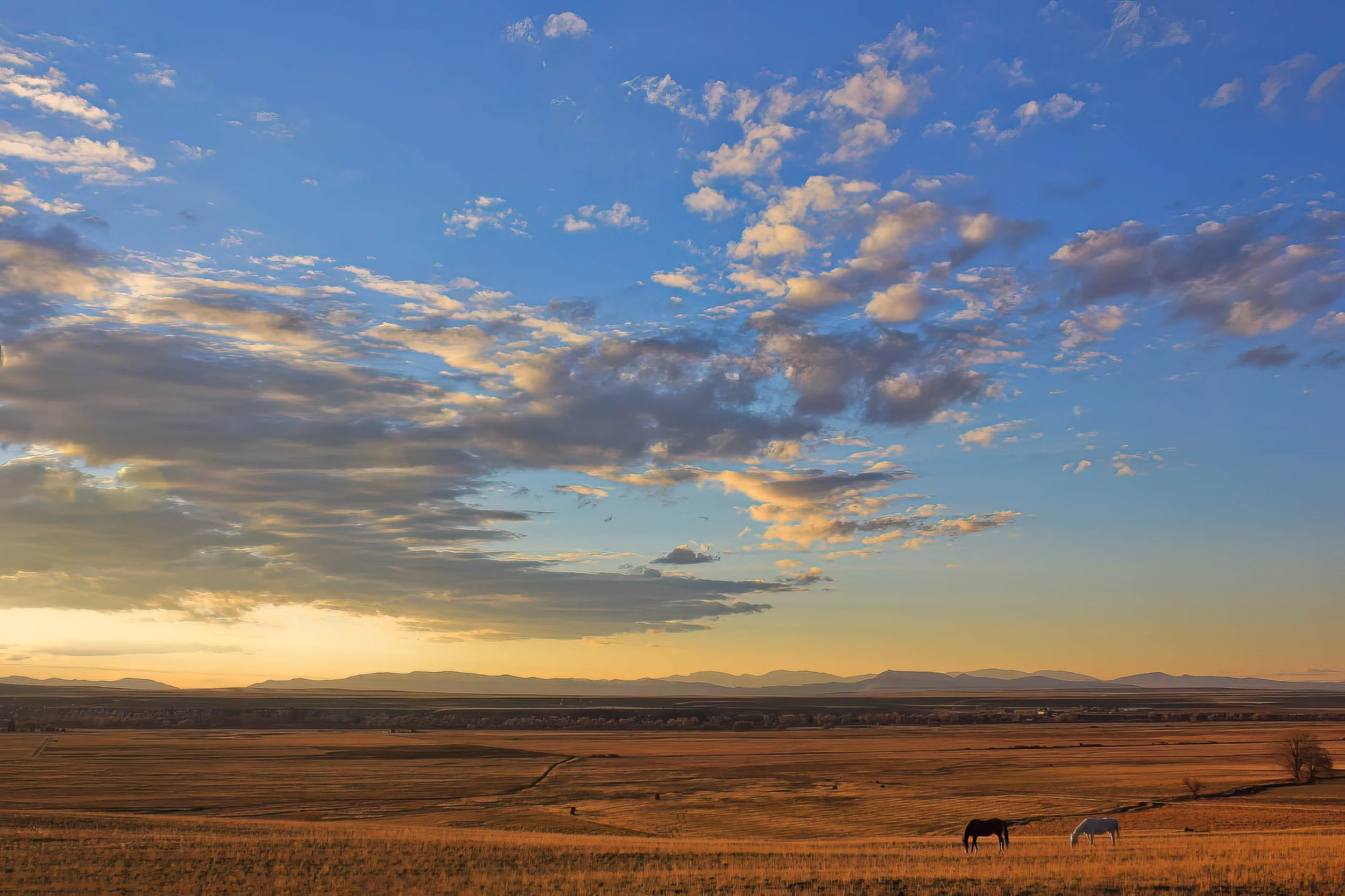 Mikeal-Beland-Studio-Montana-35.jpg