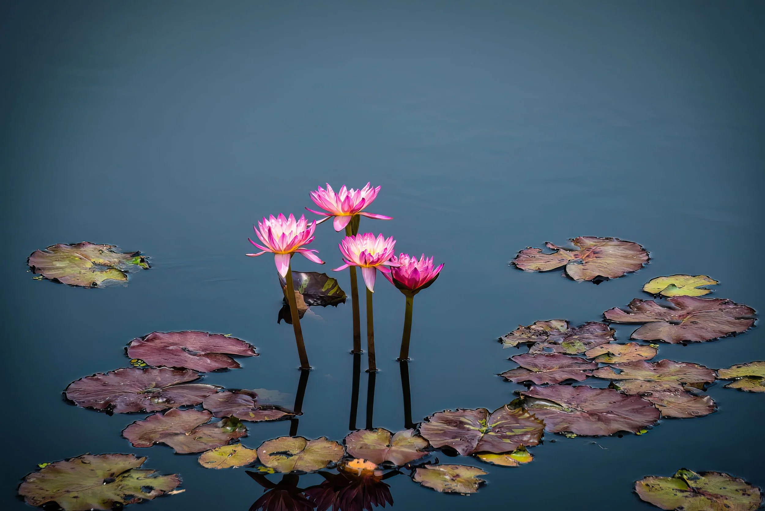 Mikeal-Beland-Studio-Florida-41.jpg